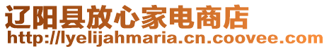 遼陽縣放心家電商店