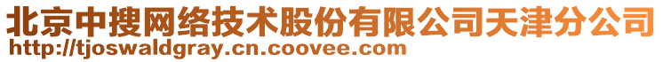 北京中搜網(wǎng)絡(luò)技術(shù)股份有限公司天津分公司