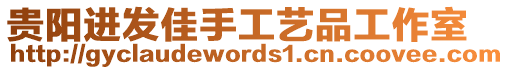 貴陽進發(fā)佳手工藝品工作室