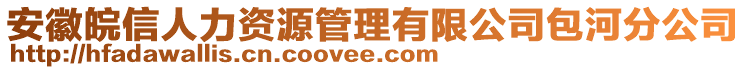 安徽皖信人力資源管理有限公司包河分公司