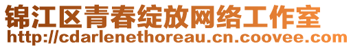 錦江區(qū)青春綻放網(wǎng)絡(luò)工作室