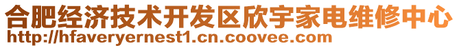 合肥經(jīng)濟(jì)技術(shù)開(kāi)發(fā)區(qū)欣宇家電維修中心