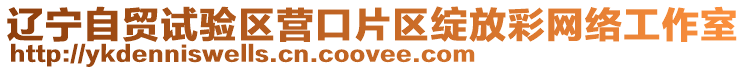 遼寧自貿(mào)試驗(yàn)區(qū)營(yíng)口片區(qū)綻放彩網(wǎng)絡(luò)工作室