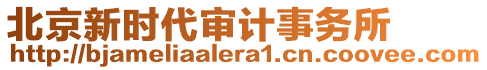 北京新時代審計事務所