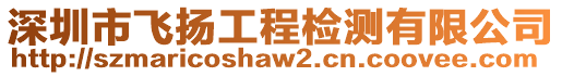 深圳市飛揚工程檢測有限公司