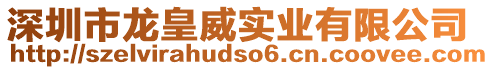 深圳市龍皇威實業(yè)有限公司