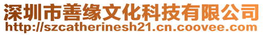 深圳市善緣文化科技有限公司