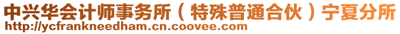 中興華會計(jì)師事務(wù)所（特殊普通合伙）寧夏分所