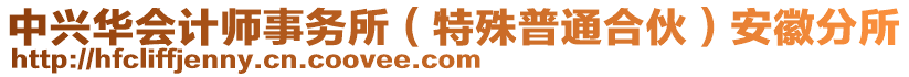 中興華會(huì)計(jì)師事務(wù)所（特殊普通合伙）安徽分所