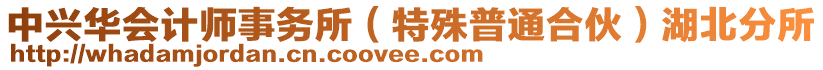 中興華會計師事務所（特殊普通合伙）湖北分所