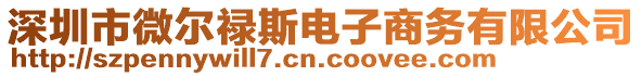 深圳市微爾祿斯電子商務(wù)有限公司