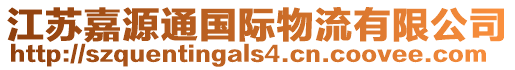 江蘇嘉源通國際物流有限公司