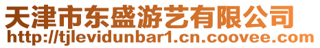 天津市東盛游藝有限公司