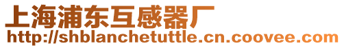 上海浦東互感器廠