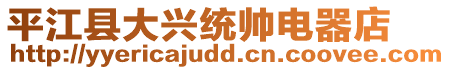 平江縣大興統(tǒng)帥電器店