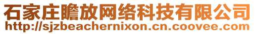 石家莊瞻放網(wǎng)絡(luò)科技有限公司