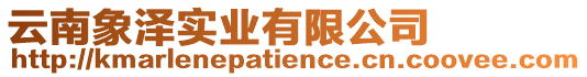 云南象澤實業有限公司
