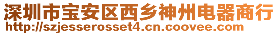 深圳市寶安區(qū)西鄉(xiāng)神州電器商行