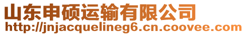 山東申碩運輸有限公司