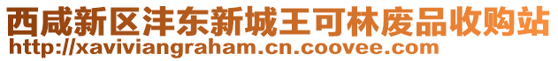 西咸新區(qū)灃東新城王可林廢品收購站
