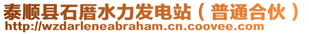 泰順縣石厝水力發電站(普通合伙)