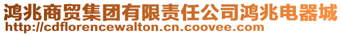 鴻兆商貿(mào)集團(tuán)有限責(zé)任公司鴻兆電器城