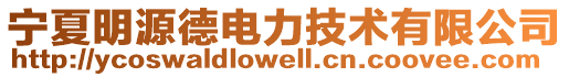 寧夏明源德電力技術有限公司