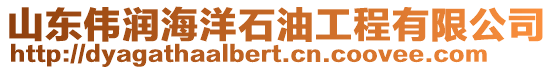 山東偉潤海洋石油工程有限公司