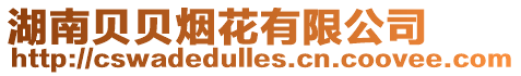 湖南貝貝煙花有限公司
