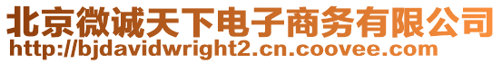 北京微誠天下電子商務有限公司