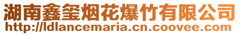 湖南鑫璽煙花爆竹有限公司