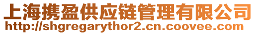 上海攜盈供應(yīng)鏈管理有限公司