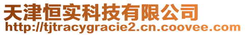 天津恒實科技有限公司