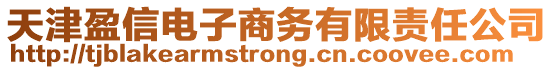 天津盈信電子商務有限責任公司