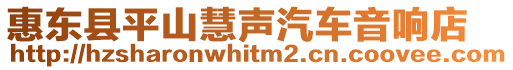 惠東縣平山慧聲汽車音響店