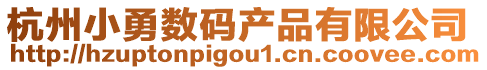 杭州小勇數(shù)碼產(chǎn)品有限公司