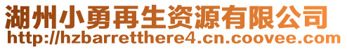 湖州小勇再生資源有限公司