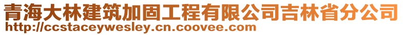 青海大林建筑加固工程有限公司吉林省分公司