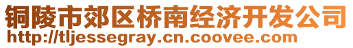 銅陵市郊區(qū)橋南經(jīng)濟(jì)開發(fā)公司