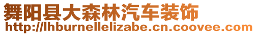 舞陽縣大森林汽車裝飾