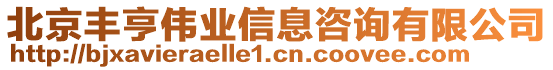 北京豐亨偉業(yè)信息咨詢有限公司