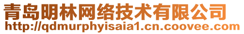 青島明林網(wǎng)絡(luò)技術(shù)有限公司