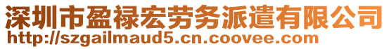 深圳市盈祿宏勞務(wù)派遣有限公司