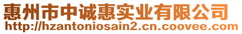 惠州市中誠(chéng)惠實(shí)業(yè)有限公司