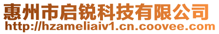 惠州市啟銳科技有限公司