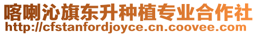 喀喇沁旗東升種植專業(yè)合作社