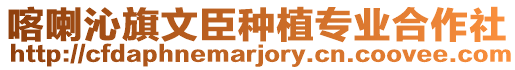 喀喇沁旗文臣種植專業合作社