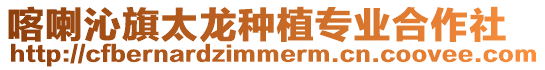 喀喇沁旗太龍種植專業合作社