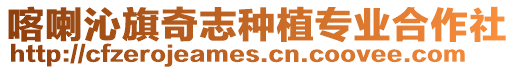 喀喇沁旗奇志種植專業合作社