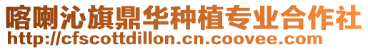 喀喇沁旗鼎華種植專業合作社